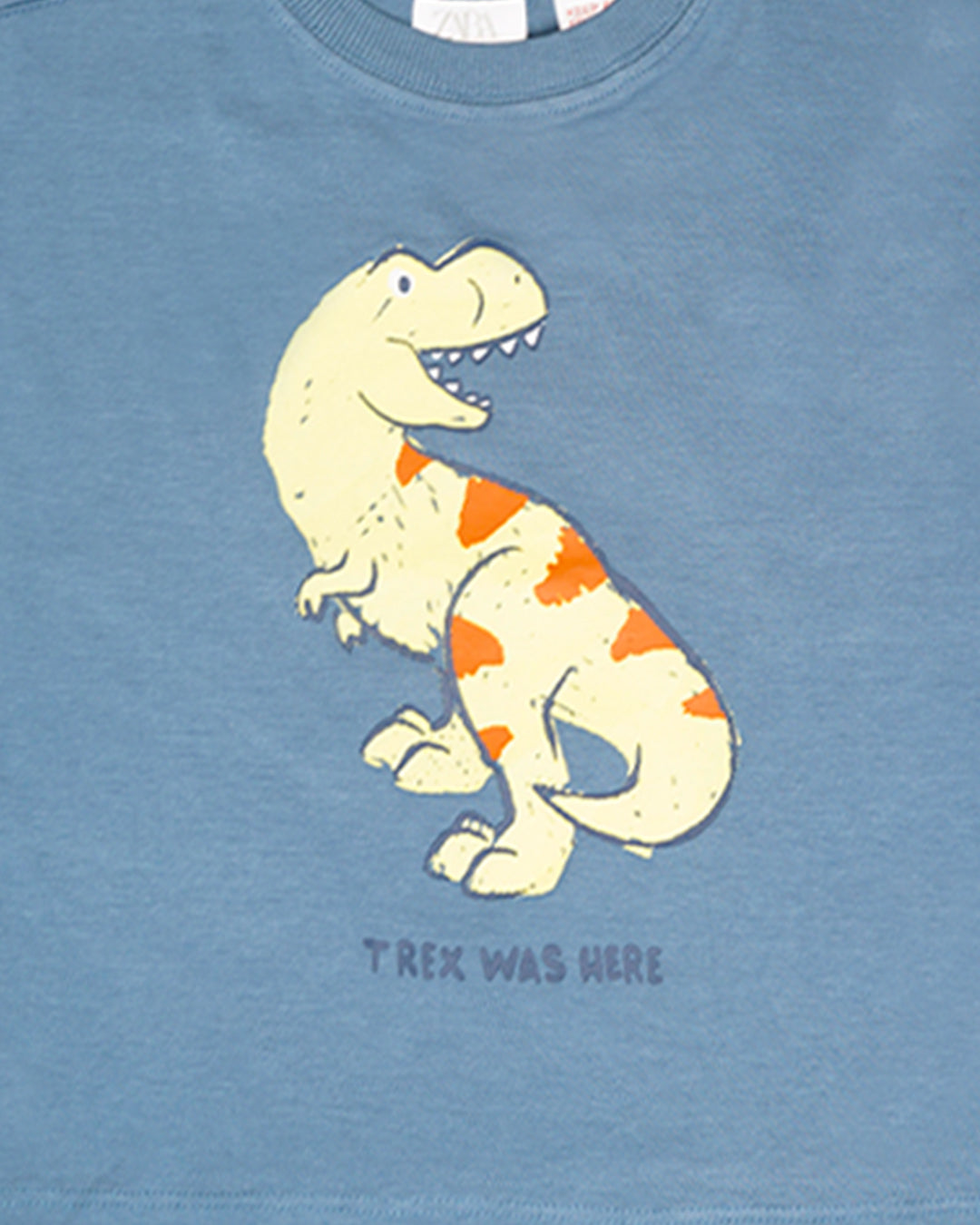 Zarra Branded Boy"s Blue Dinosaur Printed T-Shirt BTS-17