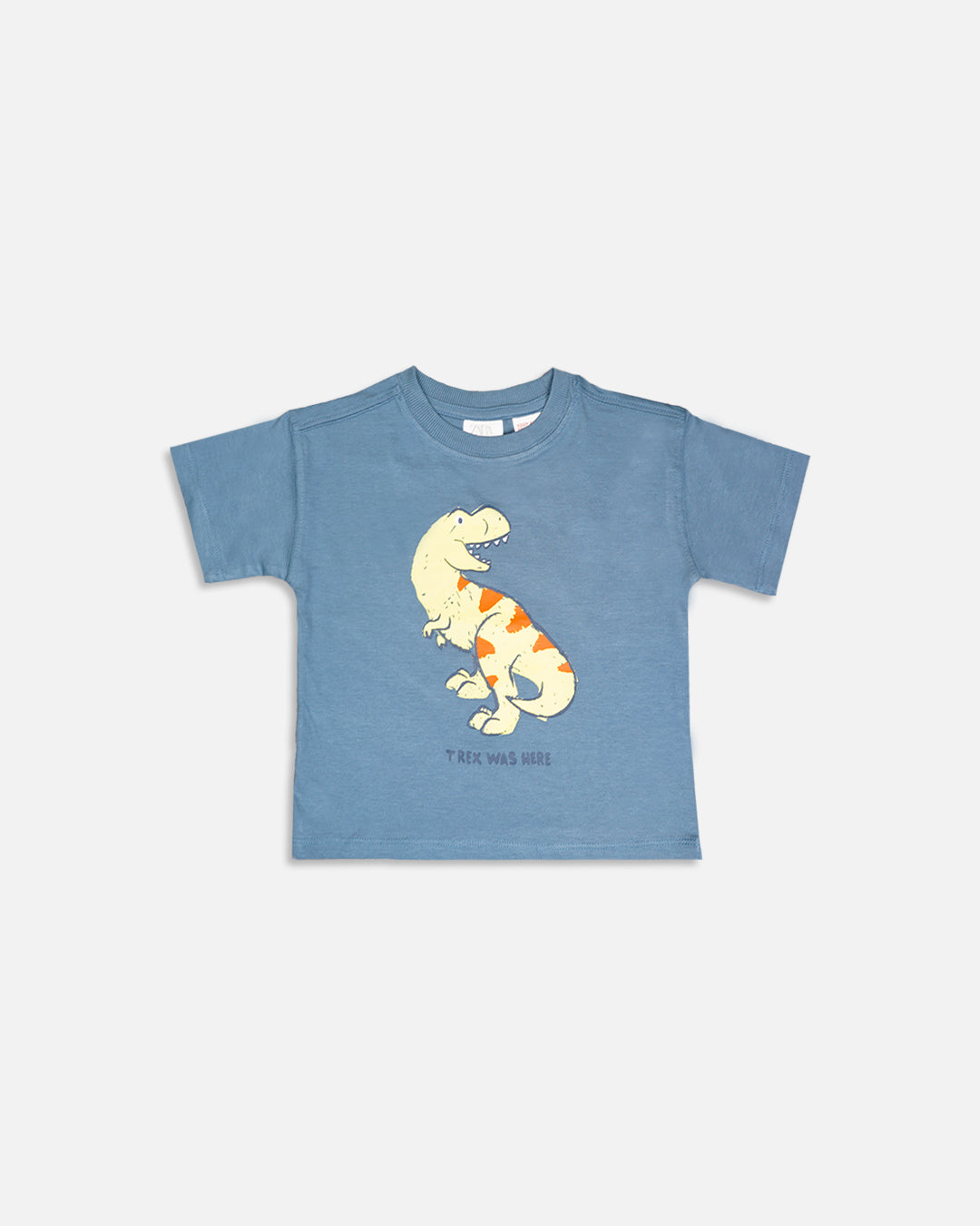 Zarra Branded Boy"s Blue Dinosaur Printed T-Shirt BTS-17