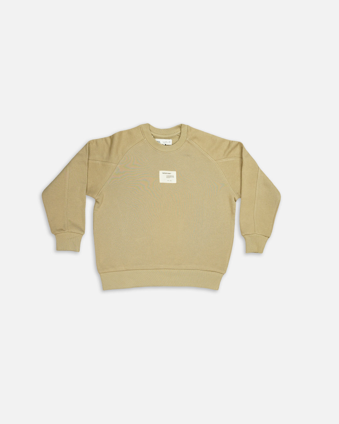 Zarraa Boy's Beige Color Crewneck Sweatshirt BSWT-02
