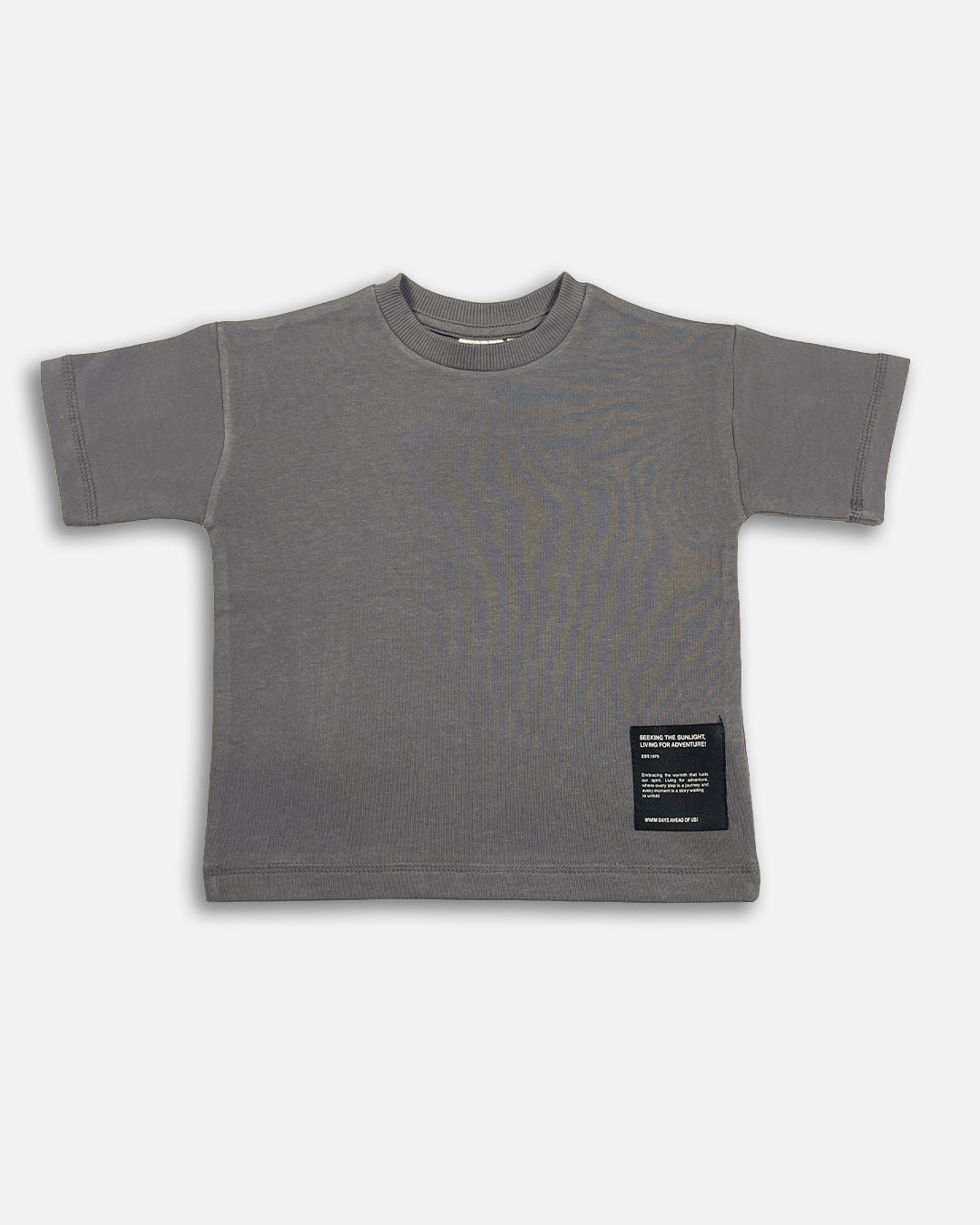 ZARRAA Branded Boy's Grey Color T-shirt BTS-14