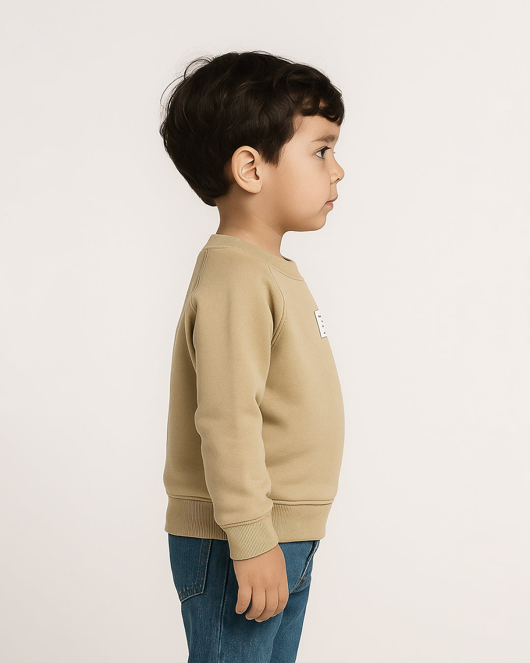Zarraa Boy's Beige Color Crewneck Sweatshirt BSWT-02