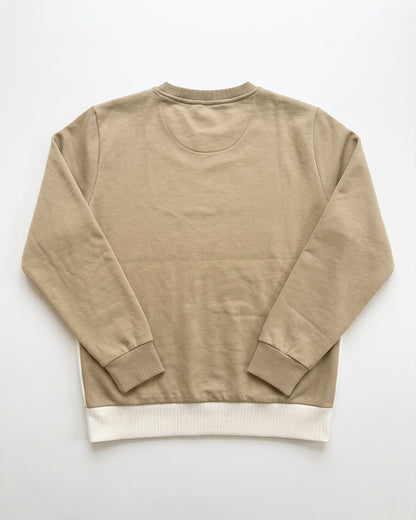 Primarky Branded Unisex "Future Projects" Color-Block Crewneck Sp-75