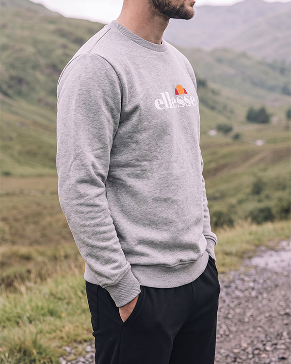 Branded Mens Grey Crewneck Sweatshirt Sp-32