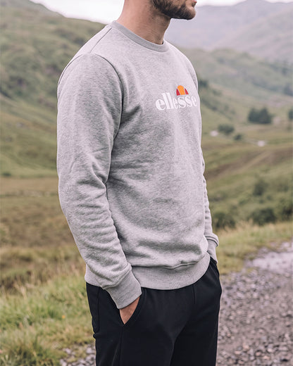 Branded Mens Grey Crewneck Sweatshirt Sp-32