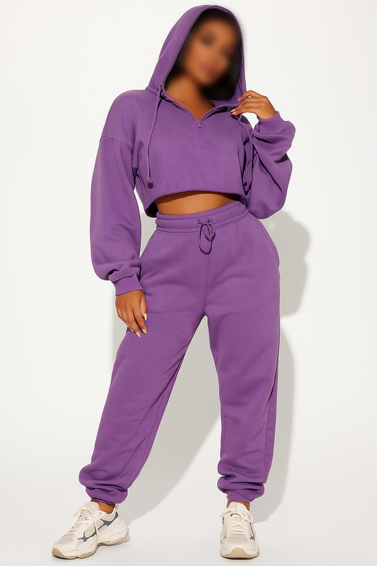 Fashion Nva Branded Women's  Purple Colour Crop Hoodie FNWH-02