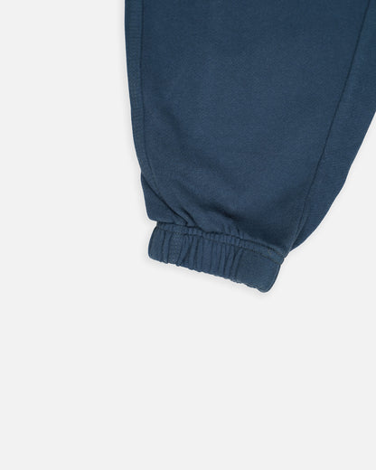 NXT Branded Boy's Navy Blue Fleece Jogger Pants BTR-01