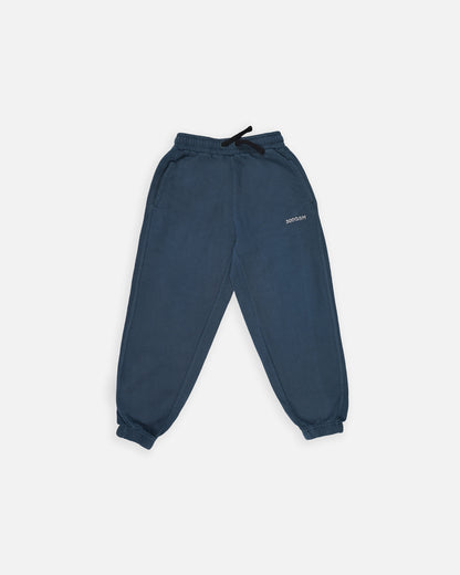 NXT Branded Boy's Navy Blue Fleece Jogger Pants BTR-01