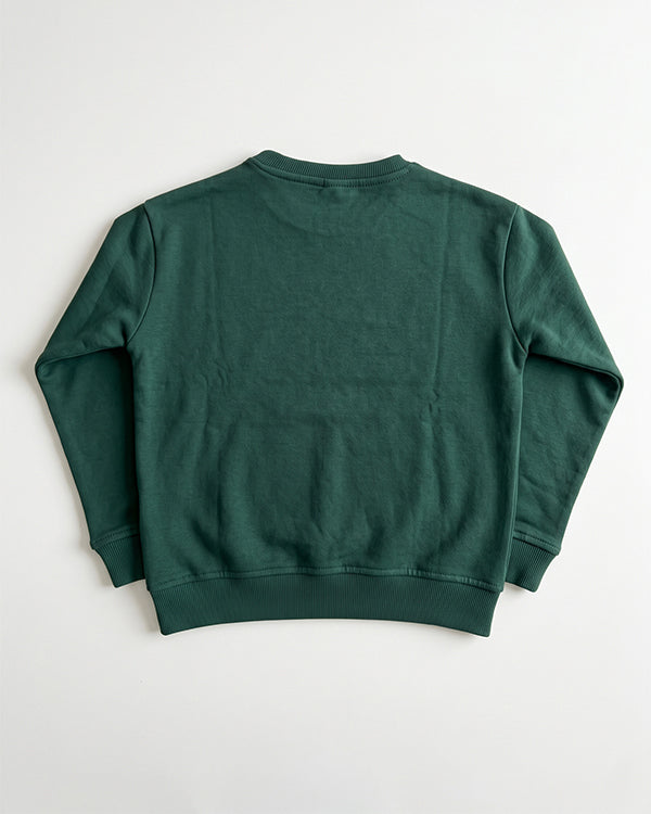 Branded Kids' Dinosaur Graphic Fleece Sweatshirt – Dark Green SP-52