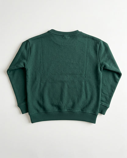Branded Kids' Dinosaur Graphic Fleece Sweatshirt – Dark Green SP-52
