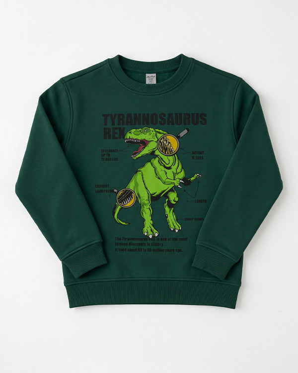 Branded Kids' Dinosaur Graphic Fleece Sweatshirt – Dark Green SP-52