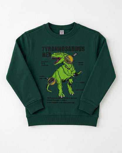 Branded Kids' Dinosaur Graphic Fleece Sweatshirt – Dark Green SP-52
