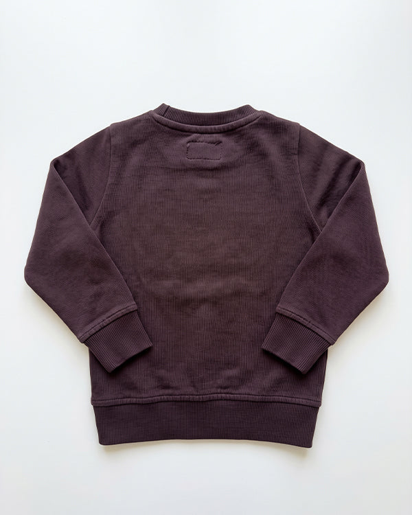 Branded Kids Silbon Applique Fleece Sweatshirt SP-48