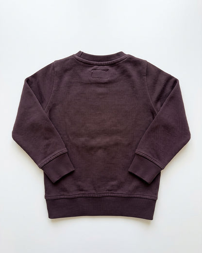 Branded Kids Silbon Applique Fleece Sweatshirt SP-48