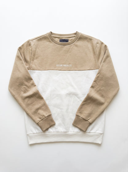 Primarky Branded Unisex "Future Projects" Color-Block Crewneck Sp-75