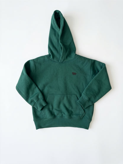 Branded Kids Plain Dark Green Hoodie Sp-16