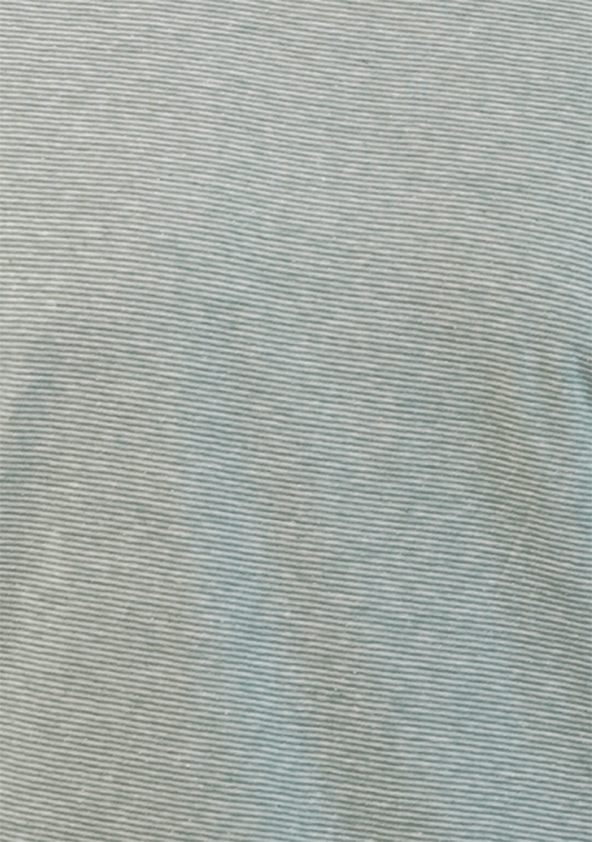 Spring Fld Branded Men's Sage Green Tee MT-46