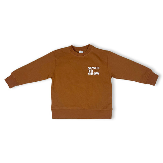 ZR Kids Sweat Shirt Brown Color KSS-05