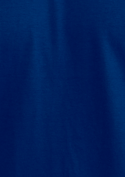 DKN Branded Men's Royal Blue Tee MT-33